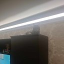 ���� �������, �������, 46 ��� - ��������� 27 ���� 2024