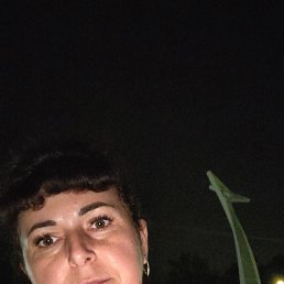 , 40, 
