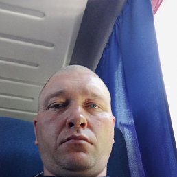 , 41 , 