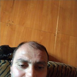 , 43, 