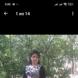 , 49, 
