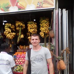 , 37, 