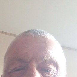  , 53, 