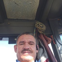 , 49 , 