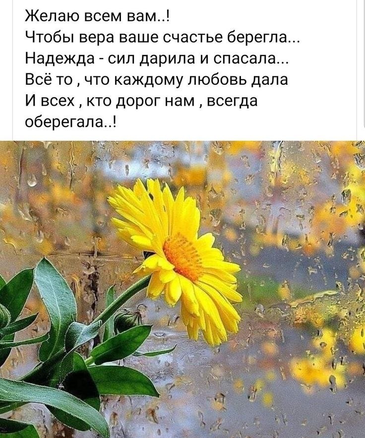   - 13  2025  07:41