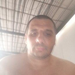 , 42, 