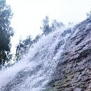 ���� ���������, �������, 40 ��� - ��������� 5 ������ 2025 � ������ ���� ����������