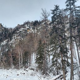 �����, ���������, 35 ���