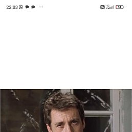 ����, 39 ���, ����������