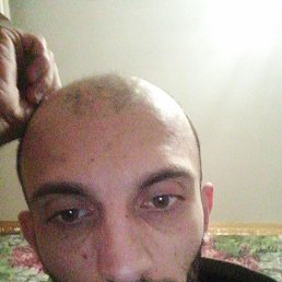, 31 ,  