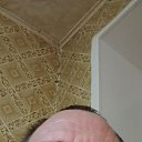 ���� �������, ������, 44 ���� - ��������� 15 ������� 2026 � ������ ���� ����������