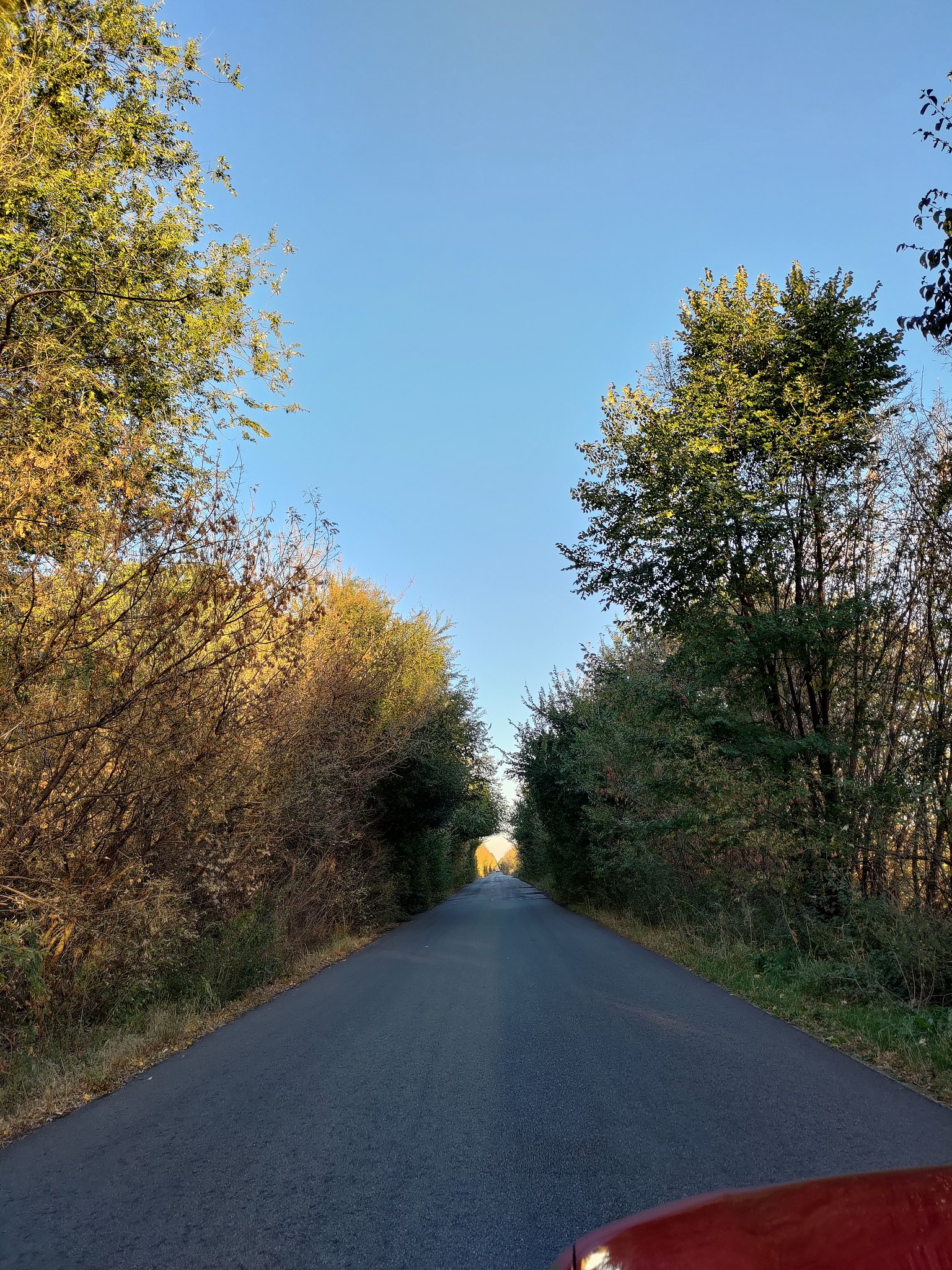 Наталия - 26 сентября 2025 в 19:02