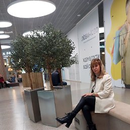 ������, ����, 53 ����