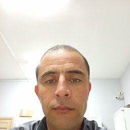 , 36, 