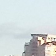 ������, 41 ���, ���������