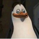 ���� ������, ���, 21 ��� - ��������� 26 ����� 2024 � ������ ���� ����������