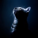 ���� �������, �������, 47 ��� - ��������� 24 ������� 2024 � ������ ���� ����������
