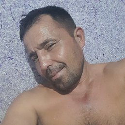 , 32, 