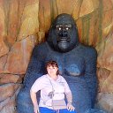 ���� �������, ������, 46 ��� - ��������� 13 ������� 2026