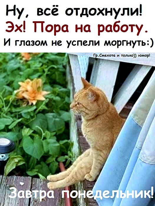  - 11  2025  20:06
