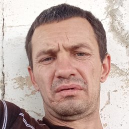 ������, �������, 43 ����