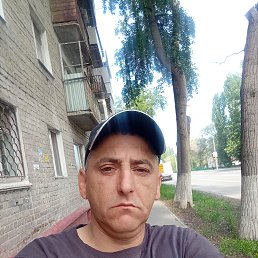 , 40, 