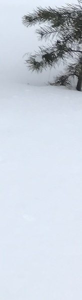 ����, 43 ����, ���������