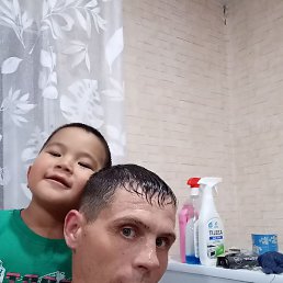 ������, �������, 41 ���