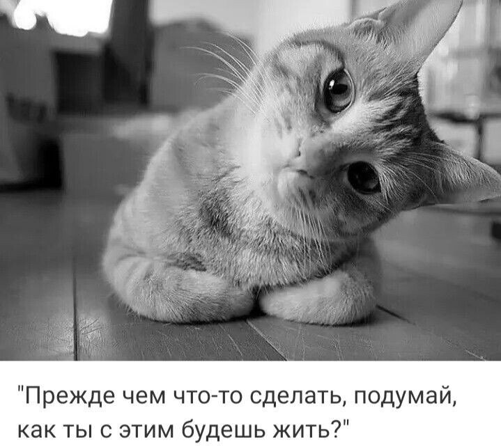 ***Victoria Viktorovna*** - 12  2025  05:29