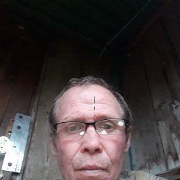 , 52 , 