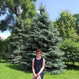 ���� Evgeniia, ������ - ��������� 11 ������� 2026