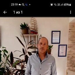 , 53 , 