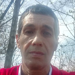 ������, �������, 54 ����