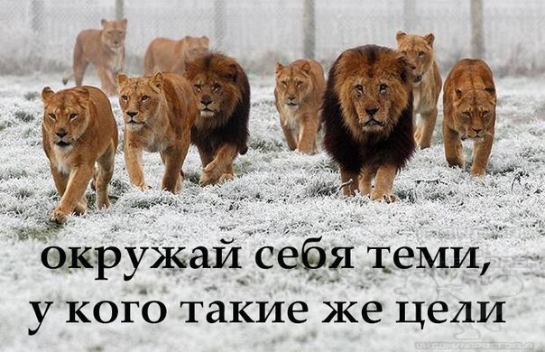   - 8  2025  07:53