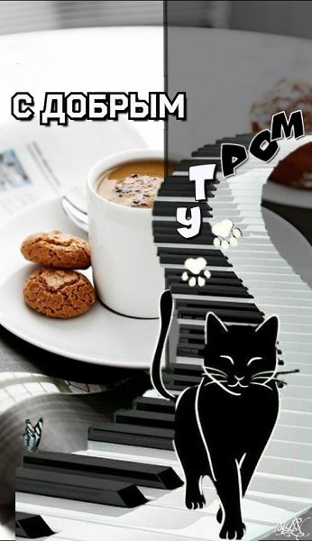 ₪╬═►  ||  ||  ◄═╬₪ - 1  2023  08:19