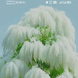 ���� ������, �������, 45 ��� - ��������� 16 ������� 2025