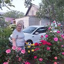 ���� ����, ��������, 66 ��� - ��������� 10 ����� 2026 � ������ ���� ����������