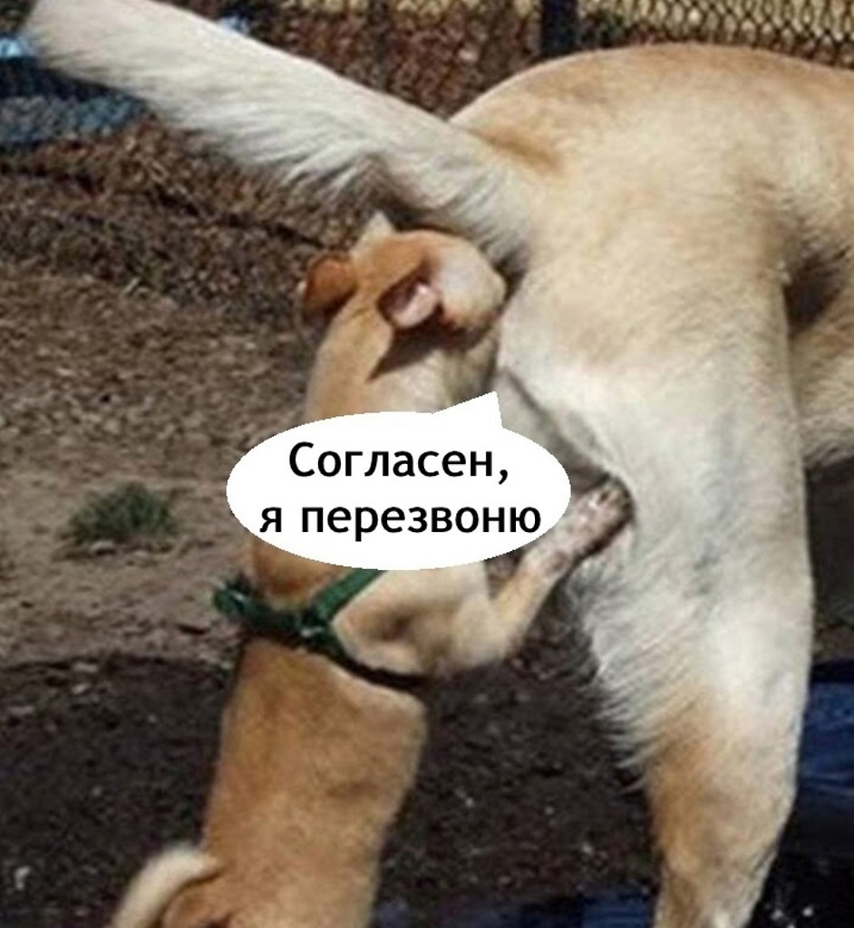      ,    - 2