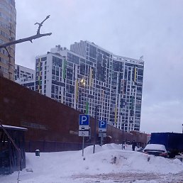 �������, ������, 50 ���