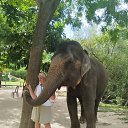 ���� �������, ���������, 48 ��� - ��������� 10 ������� 2026 � ������ ���� ����������