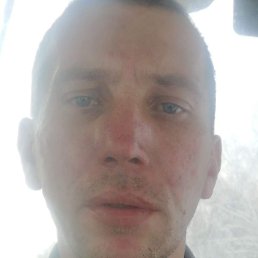 ���������, ����, 40 ���