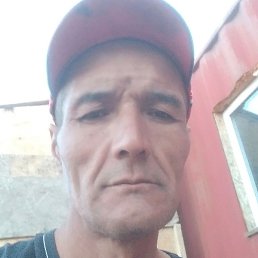 ������, ������, 52 ����