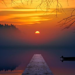 ���������, ������� �����, 66 ���