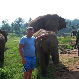 �������, ������������, 43 ����