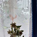 ���� �������, ��������� - ��������� 6 ���� 2025 � ������ ������ ��������