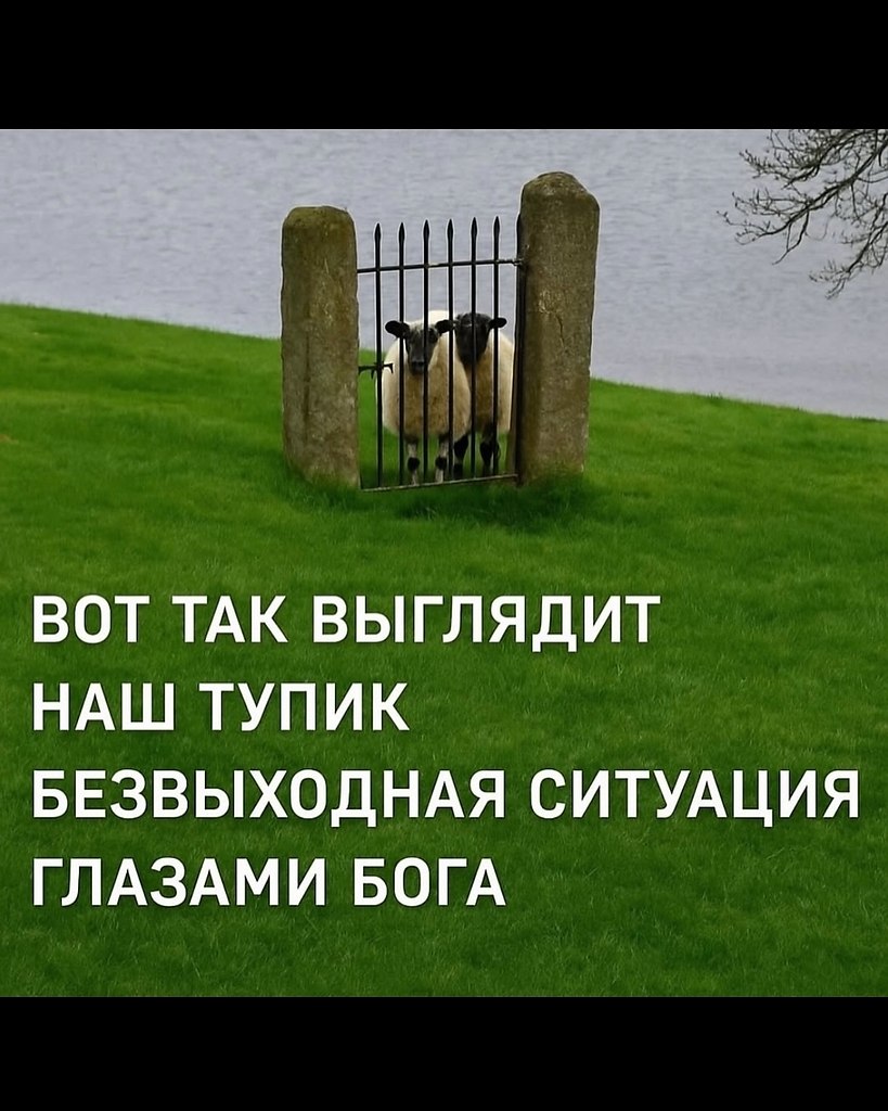   - 25  2025  21:23 - 2