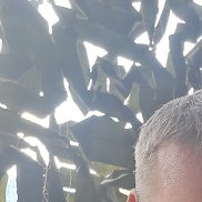 , 38 , 