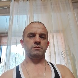 ����, 46 ���, ������