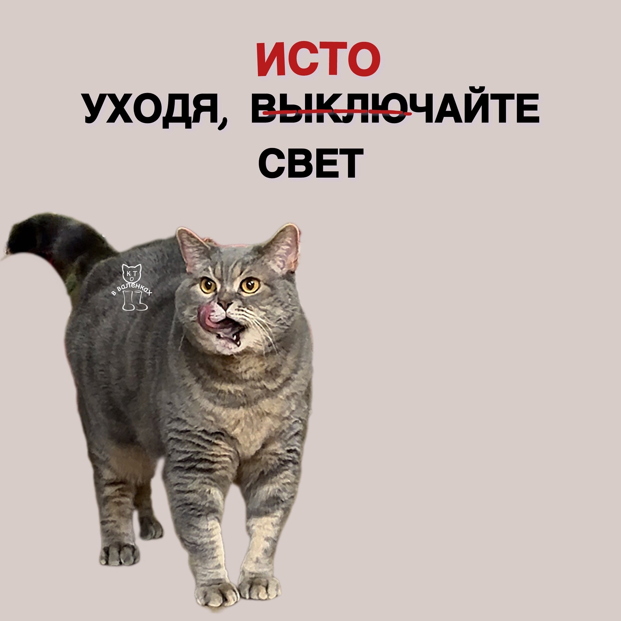 �������� - 17 ���� 2026 � 19:00