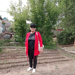 , 65, 